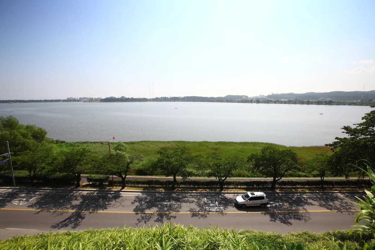 Gyeongpo Lake in Gangneung on a clear summer day, with a tree-lined lakeside road