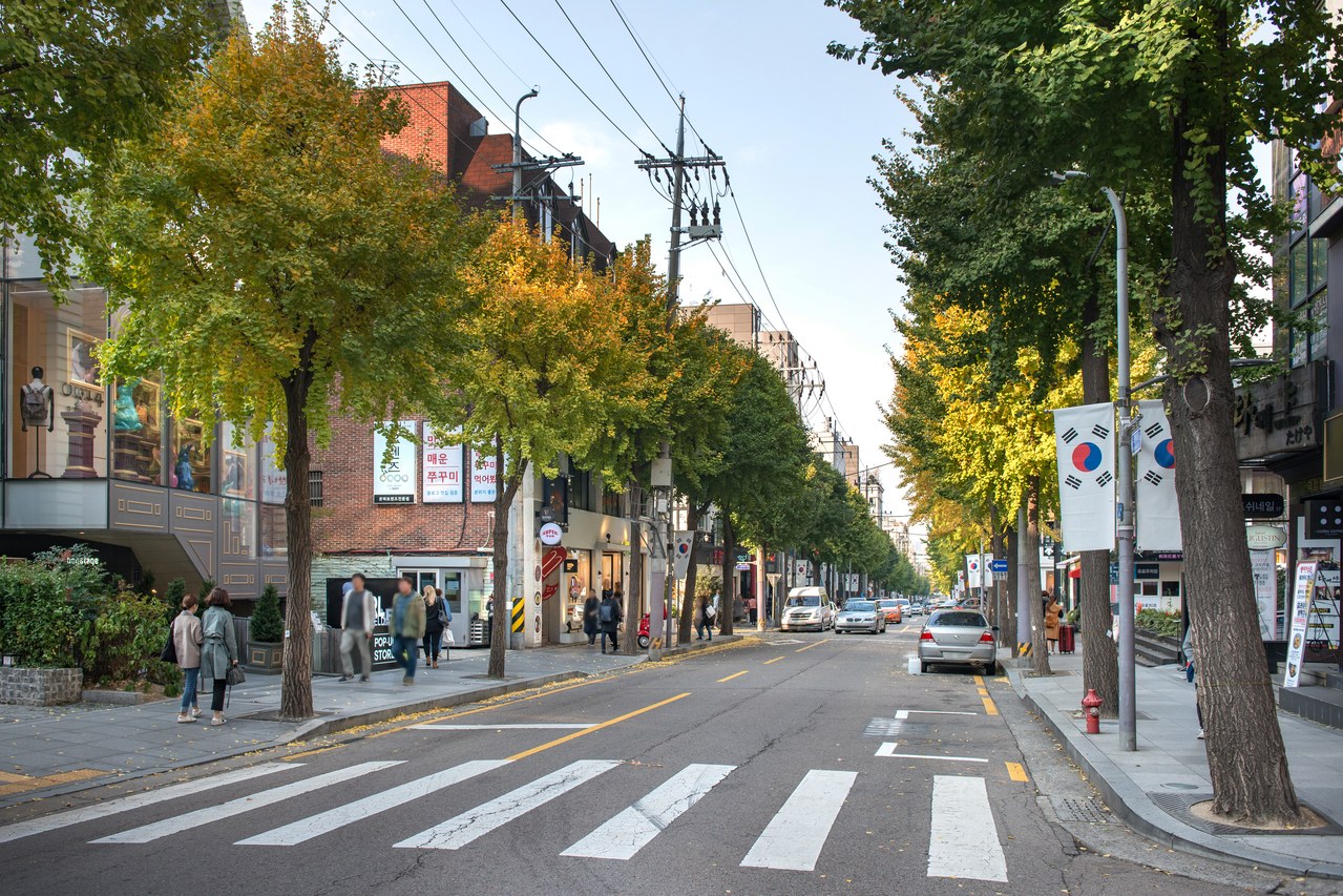 The tree-lined Garosu-gil shopping street in Sinsa, Seoul