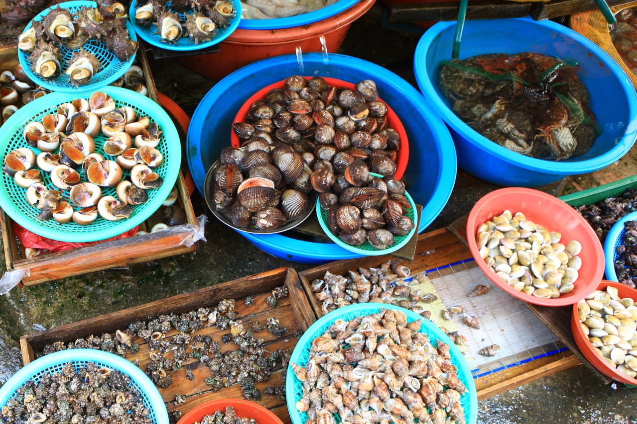 Shellfish and seafood in colorful basins for sale at Jagalchi fish market, Busan