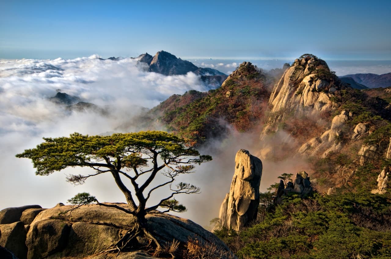 Rugged granite peaks and pines rising above a sea of clouds on a mountain near Seoul