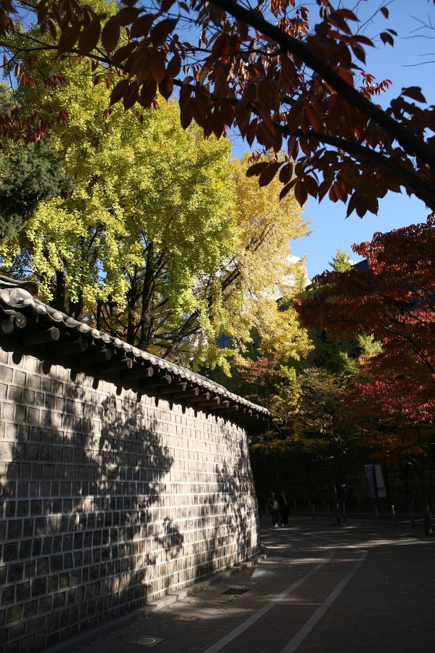 A tiled stone palace wall beside an autumn tree-lined walkway