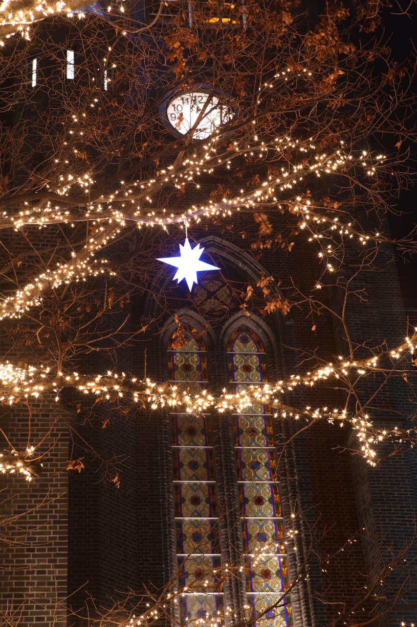 Myeongdong Cathedral lit at night behind trees strung with fairy lights, Seoul