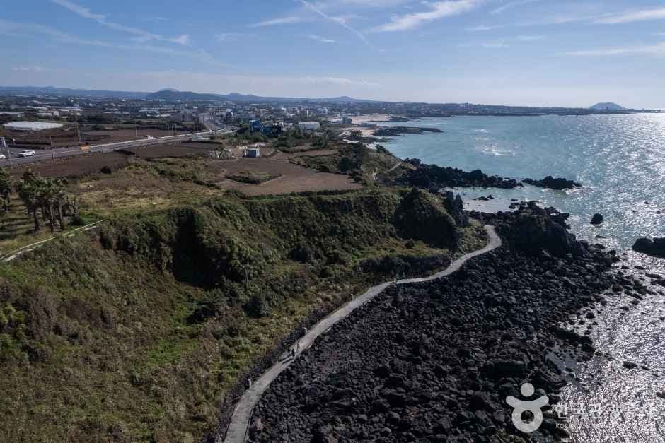 Aerial view of the Aewol coastal road winding along Jeju's volcanic shoreline