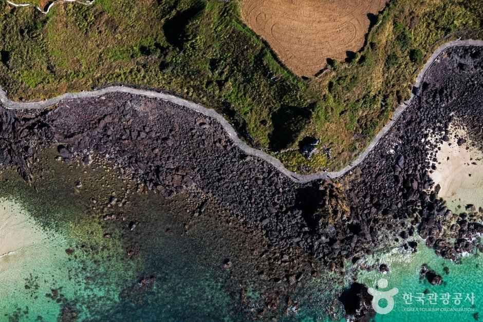 Top-down view of a coastal path along black volcanic rock and turquoise water on Jeju