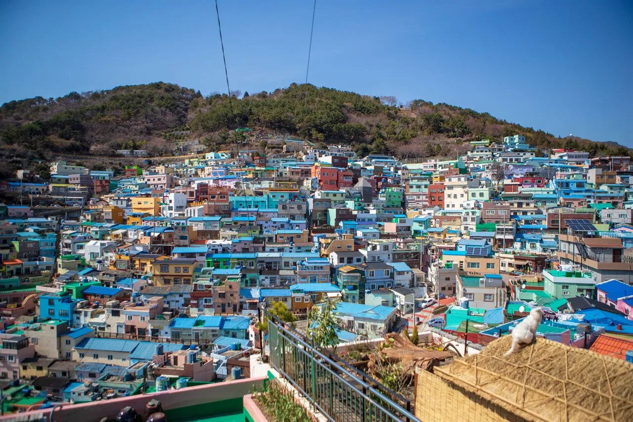 Rows of colorful houses covering a wooded hillside, seen from a viewing terrace with a railing