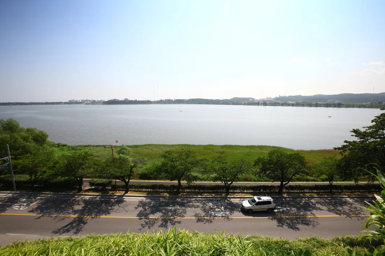 Gyeongpo Lake in Gangneung on a clear summer day, with a tree-lined lakeside road