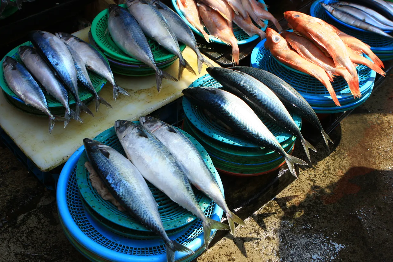 Whole mackerel and red fish arranged on round green baskets at a market stall