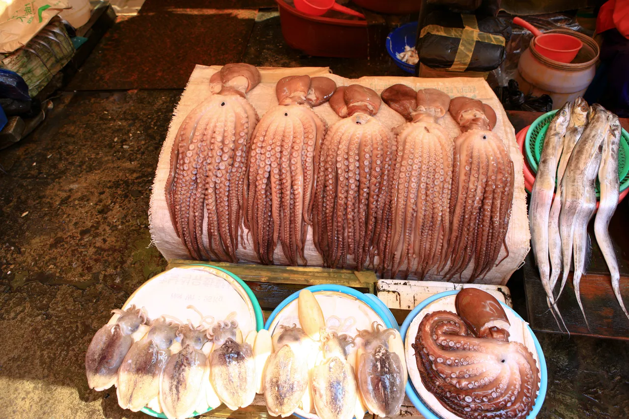 Rows of whole octopus and squid laid out on trays beside a few other fish at a market stall