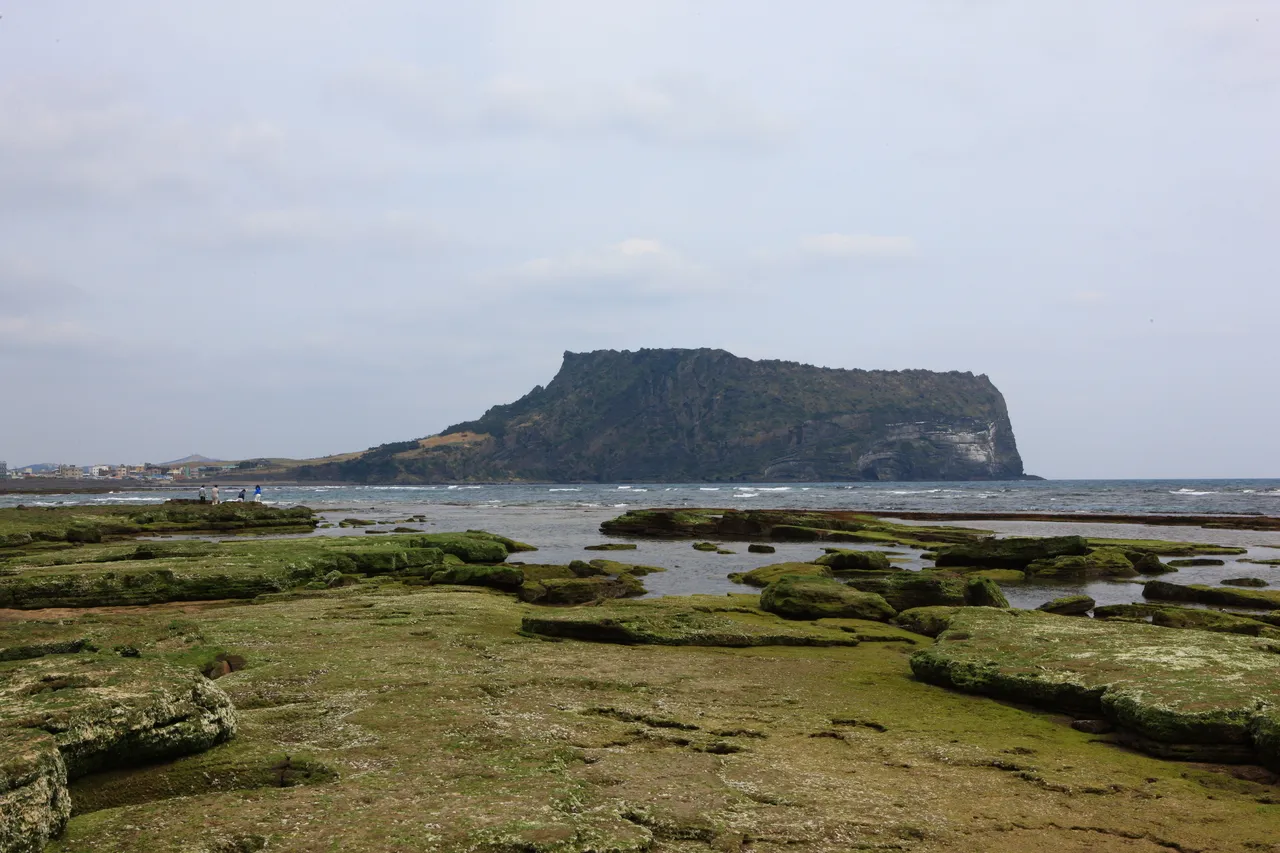 Seongsan Ilchulbong tuff cone rising over the volcanic rock coast of Jeju Island