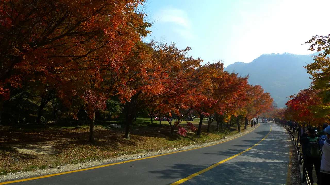 A road lined with red and orange maple trees leading toward a mountain in autumn