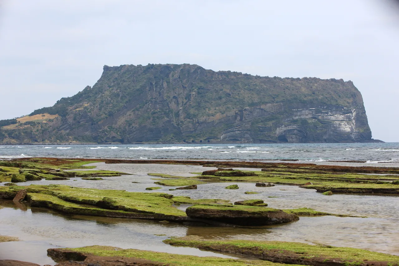 Seongsan Ilchulbong rising above a green volcanic rock shore at low tide under a pale sky