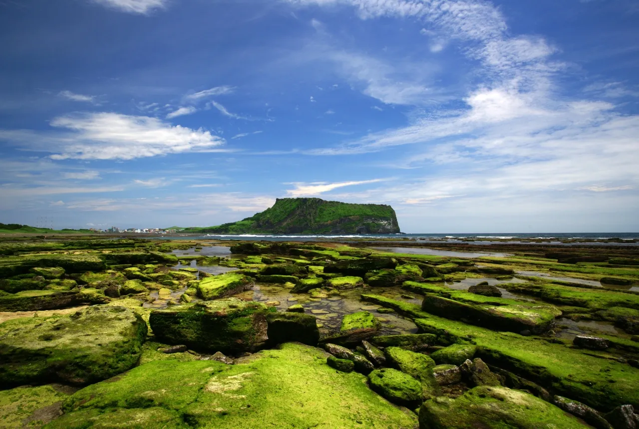 Seongsan Ilchulbong across a moss-green volcanic rock shore under a blue sky with scattered cloud