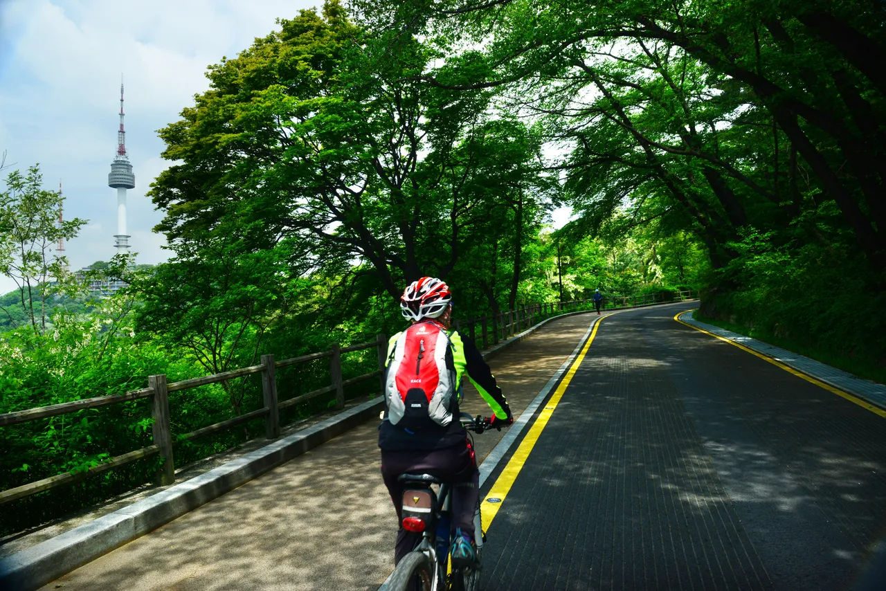 A tree-lined road on Namsan with N Seoul Tower rising above the early-summer greenery, Seoul