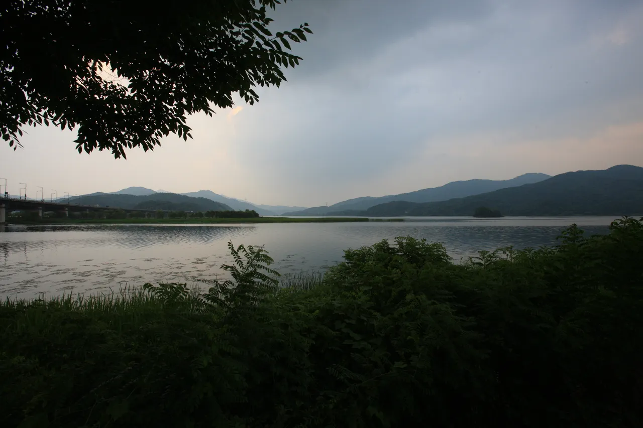 A calm river under overcast skies with an overhanging tree branch and misty green hills